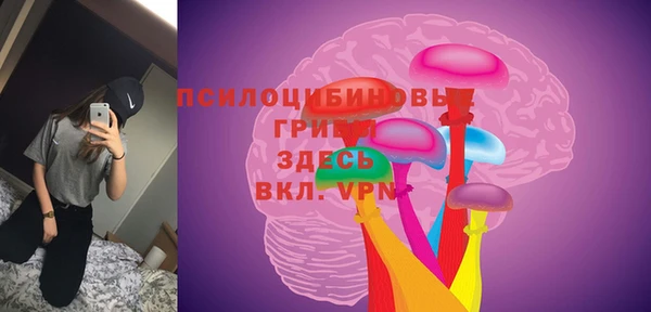 крисы Шарыпово