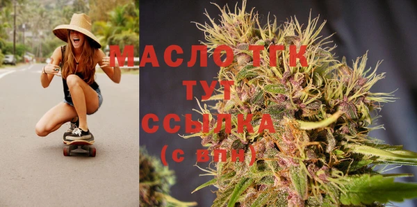 стафф Ельня