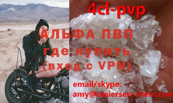 стафф Ельня