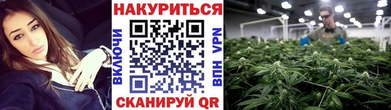 Конопля ГИДРОПОН  Протвино 