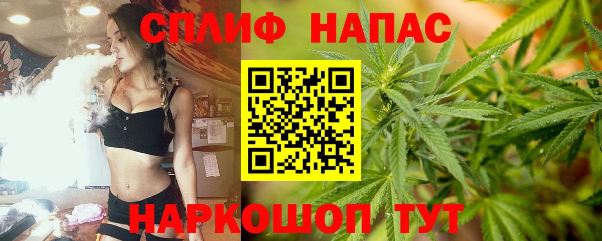 Бошки Шишки MAZAR Протвино
